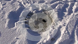 Ice-hole for fishing on lake ice