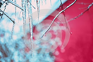 Ice icicles on the background of the house