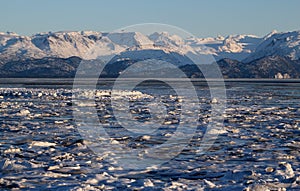 Ice in the Kachemak bay
