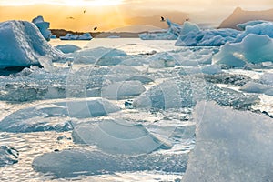 Ice Lagoon. Icebergs in Jokulsarlon glacier lagoon lake at sunset Iceland