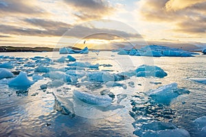 Ice Lagoon. Icebergs in Jokulsarlon glacier lagoon lake at sunset Iceland