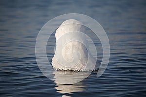 Ice on marker in water