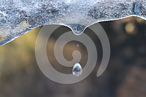 Ice melting: Balloon-shaped water drop