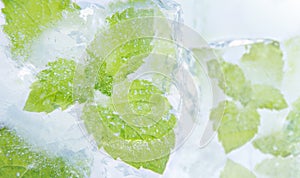 Ice mint. Frozen fresh mint in an ice cubes photo