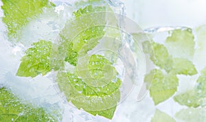 Ice mint. Frozen fresh mint in an ice cubes