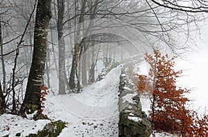 Ice path in the middle of the cold snowy forest in winter