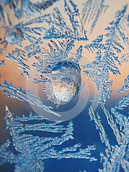 Ice Pattern on winter Glass in the frost at sunset. Ice Pattern on glass are shot in macro. Ice Pattern on glass look futuristic a