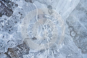 Ice patterns in a frozen puddle