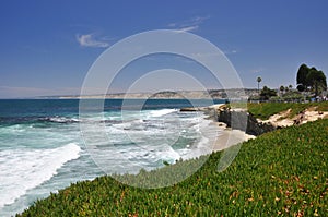 Ice plant on the shoreline