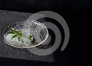 Ice plate summer heat  leaf green sprig frozen heat cold bloom frost
