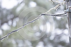 Ice on a Powerline