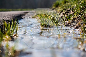 Ice puddle in spring