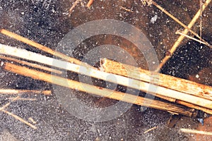 Ice and reeds on the beautiful lake in close up