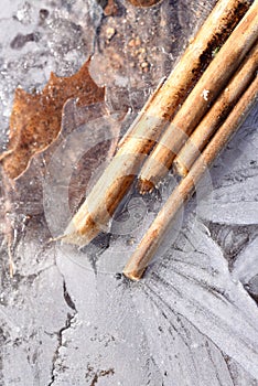 Ice and reeds on the beautiful lake in close up