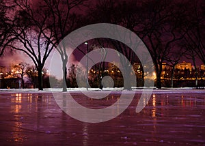 Ice Rink at Night