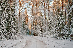 An ice road passing through a snowy forest at sunset.January.Russia