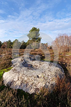 Ice and sandstone rock in the Coquibus hill