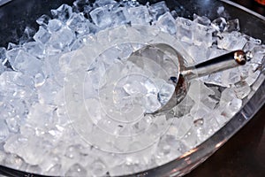 Ice with scoop in ice bucket