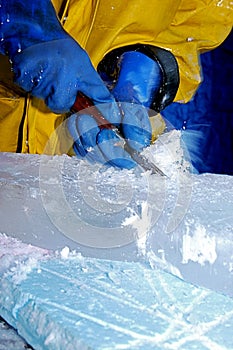 Ice sculptor photo