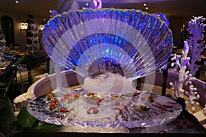 Ice sculpture of Perl Shell