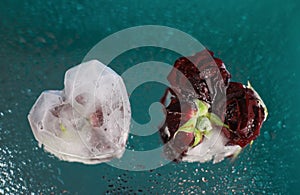 ice in the shape of a heart with red fragrant roses frozen in ice on a blue-green mirror background with water drops