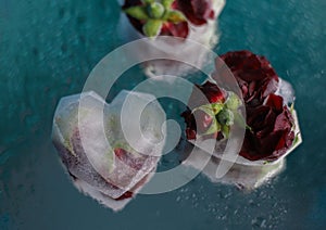 ice in the shape of a heart with red fragrant roses frozen in ice on a blue-green mirror background with water drops