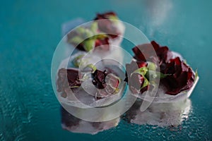 ice in the shape of a heart with red fragrant roses frozen in ice on a blue-green mirror background with water drops