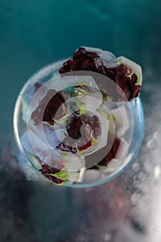 ice in the shape of a heart with red fragrant roses frozen in ice on a blue-green mirror background with water drops