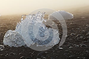 Ice on the shore of the beach with black sand. Iceland.