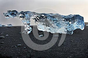 Ice on the shore of the beach with black sand. Iceland.