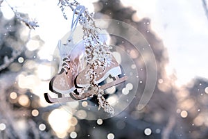 Ice skate Christmas toy,  winter forest covered with snow. New Year holiday atmosphere, spirit. Christmas and Winter concept