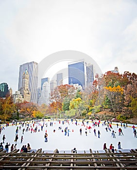 Ice skaters