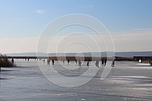 Ice-skaters on lake Neusiedl