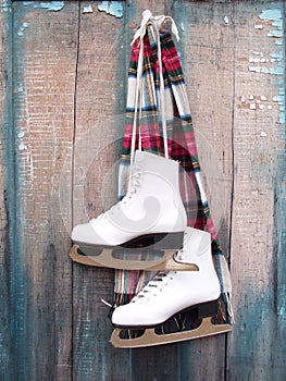 Ice Skates