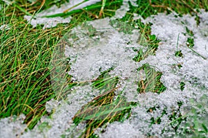 Ice and snow melting on green grass.