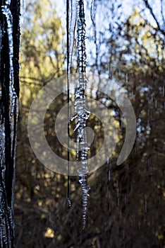 ice stalagtites formed in a natural waterfall