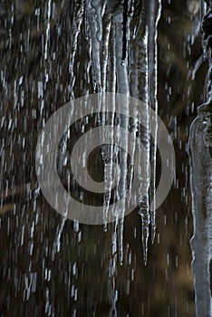 ice stalagtites formed in a natural waterfall photo