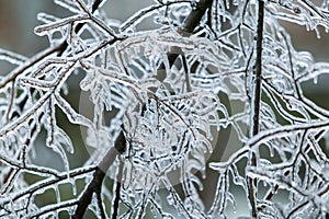 Ice Storm