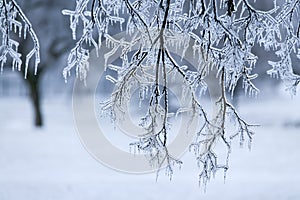 Ice Storm