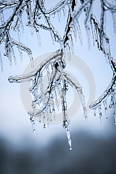 Ice Storm