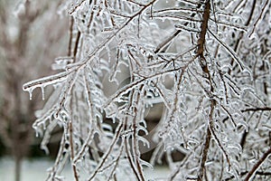 Ice Storm