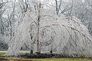 Ice storm