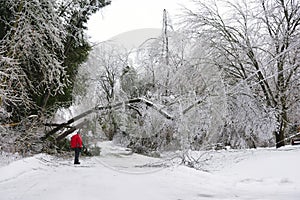 Ice Storm - December 22, 2013 Southern Ontario