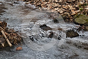 Ice on stream in forest
