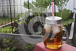 Ice Tea Garden