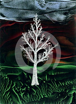 Ice Tree at Night