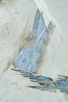 Ice under polarized light