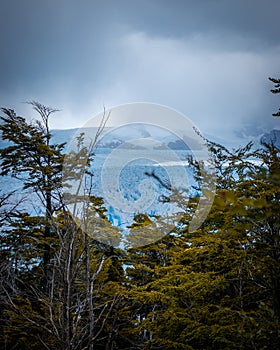 Ice wall of a glacier with some pieces of ice in the water in front of a forest. Perito Moreno Glacier in Argentina