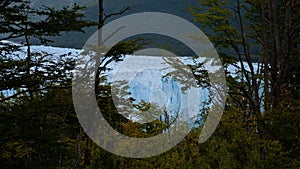 Ice wall of a glacier with some pieces of ice in the water in front of a forest. Perito Moreno Glacier in Argentina