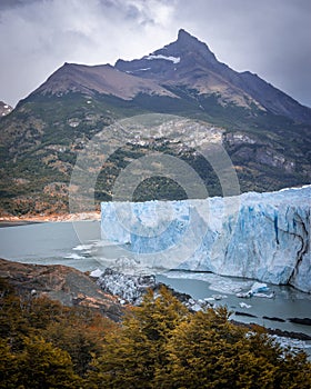 Ice wall of a glacier with some pieces of ice in the water in front of a forest. Perito Moreno Glacier in Argentina